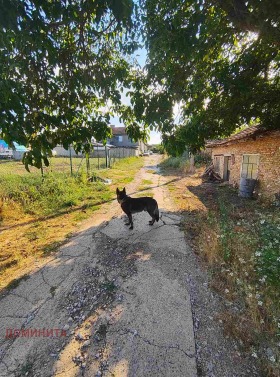 ������� ������ | Imot.bg � ����� ������ 3