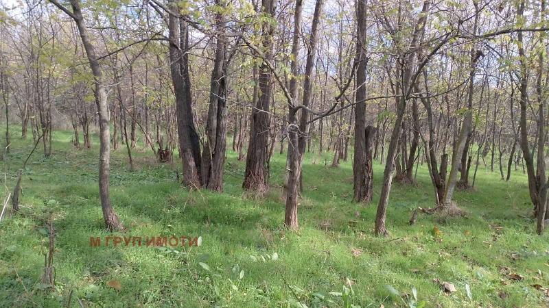 Продава ПАРЦЕЛ, с. Кръстевич, област Пловдив, снимка 5 - Парцели - 53021812