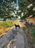 Продава ПАРЦЕЛ, с. Граматиково, област Бургас, снимка 3