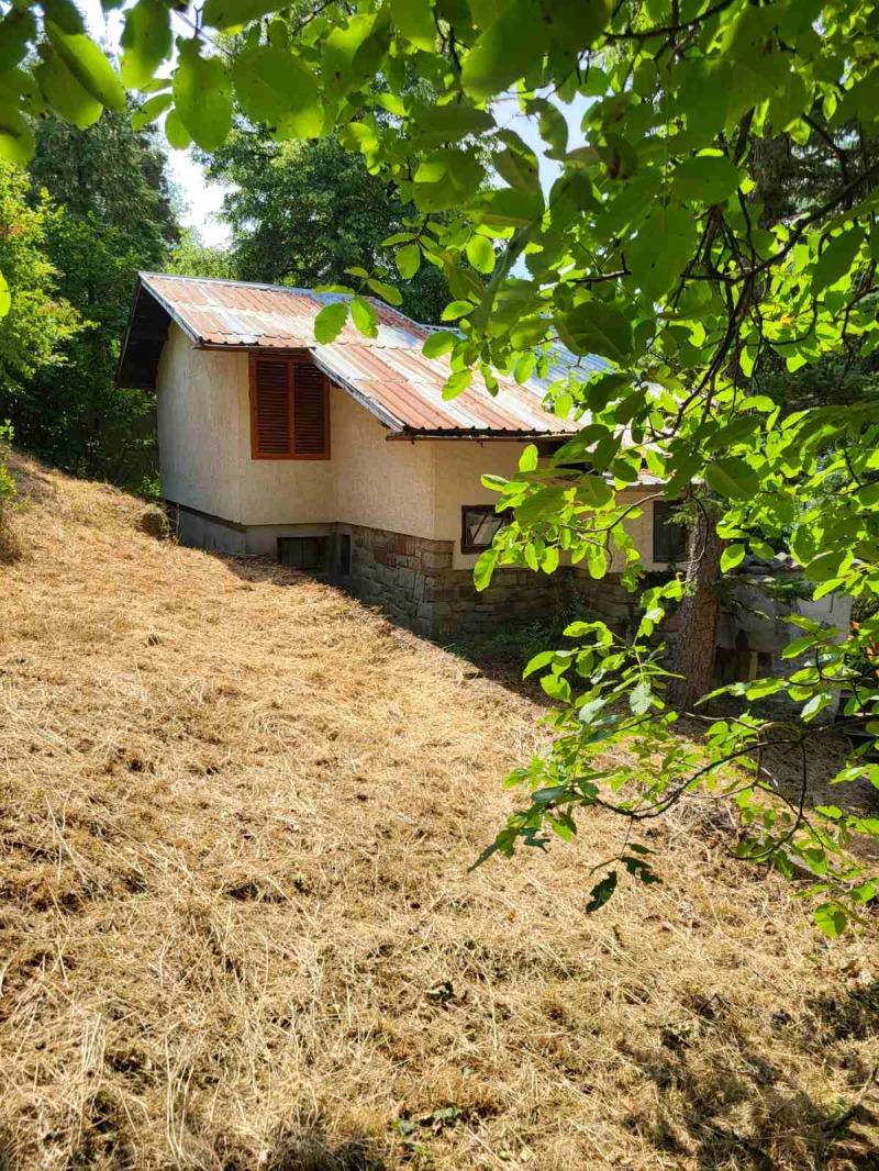 Продава КЪЩА в област София, с. Бов - 50 кв.м / 60 000 € » 117 349.80 лв., ГРИФФИТ