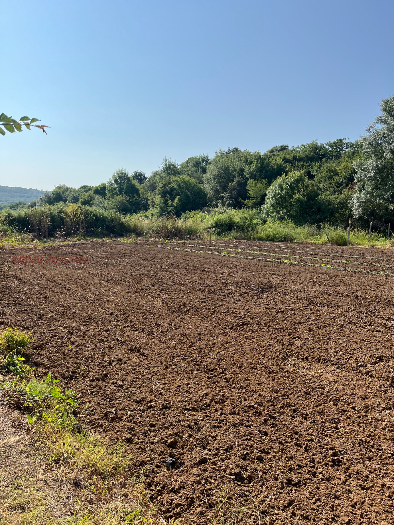 ������� ������ | Imot.bg � ����������� 7