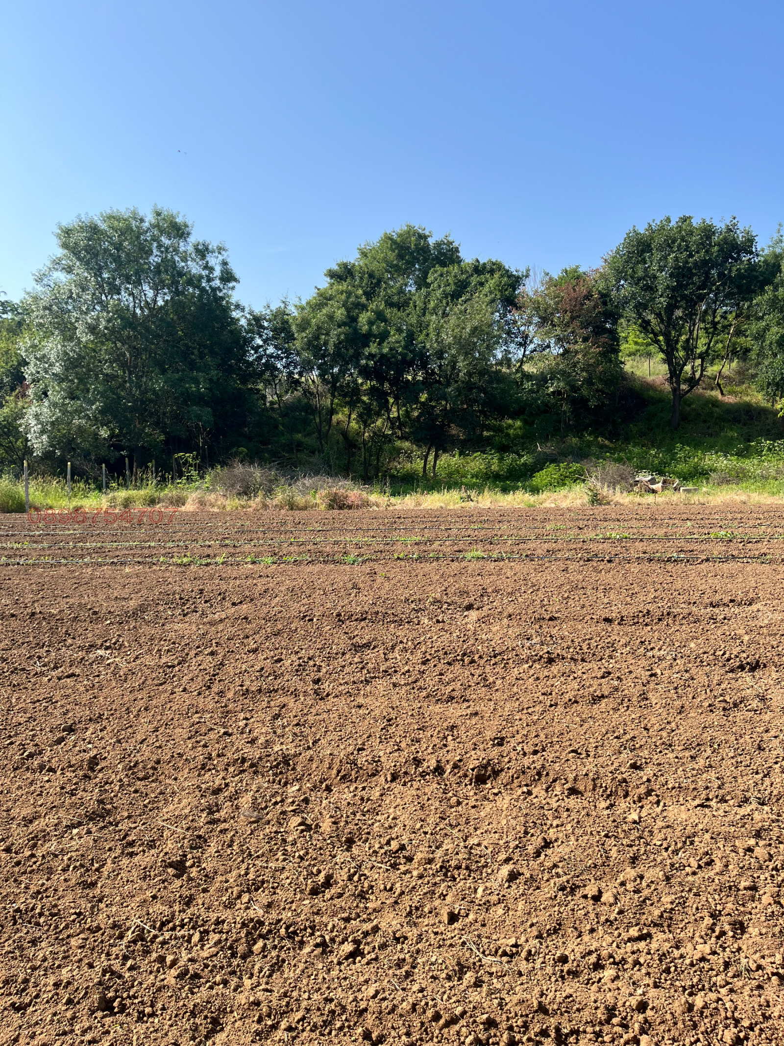 ������� ������ | Imot.bg � ����������� 9