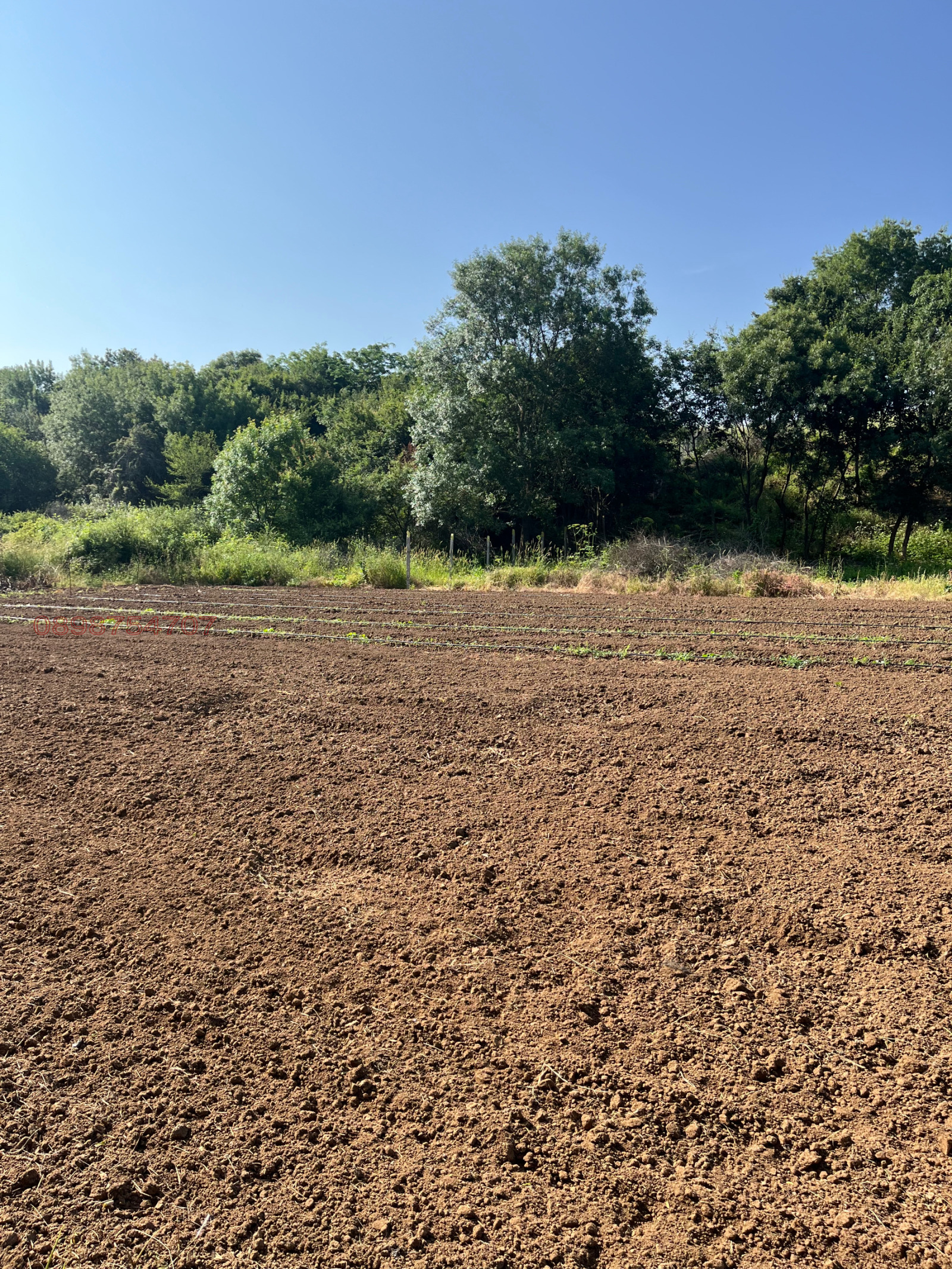 ������� ������ | Imot.bg � ����������� 8