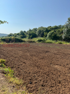 ������� ������ | Imot.bg � ����� ������ 7