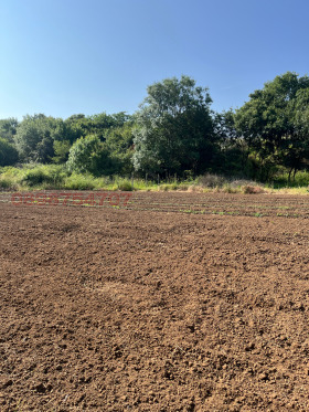 ������� ������ | Imot.bg � ����� ������ 8