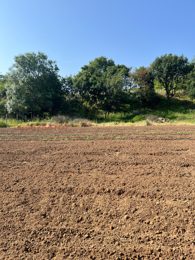 Продава ПАРЦЕЛ, с. Равадиново, област Бургас, снимка 9 - Парцели - 52779055