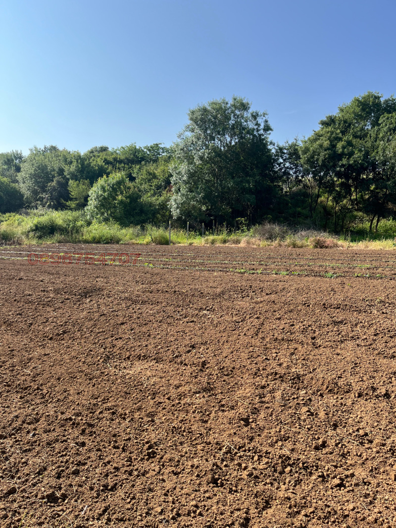 Продава ПАРЦЕЛ, с. Равадиново, област Бургас, снимка 8 - Парцели - 52779055