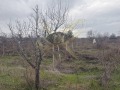 Продава КЪЩА, с. Суходол, област Бургас, снимка 4