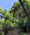 Продава КЪЩА, област Кюстендил, гр. Сапарева баня • 180000 € • 70798053 — Holmes.bg