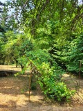 Продава КЪЩА, област София, с. Бов • 60000 € • 20681188 — Holmes.bg
