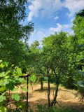 Продава КЪЩА, област София, с. Бов • 60000 € • 20681188 — Holmes.bg