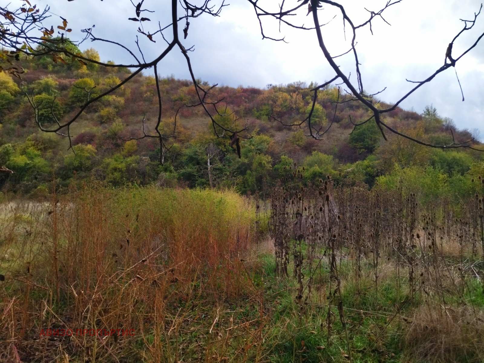 Продава ПАРЦЕЛ | Imot.bg — изображение 3