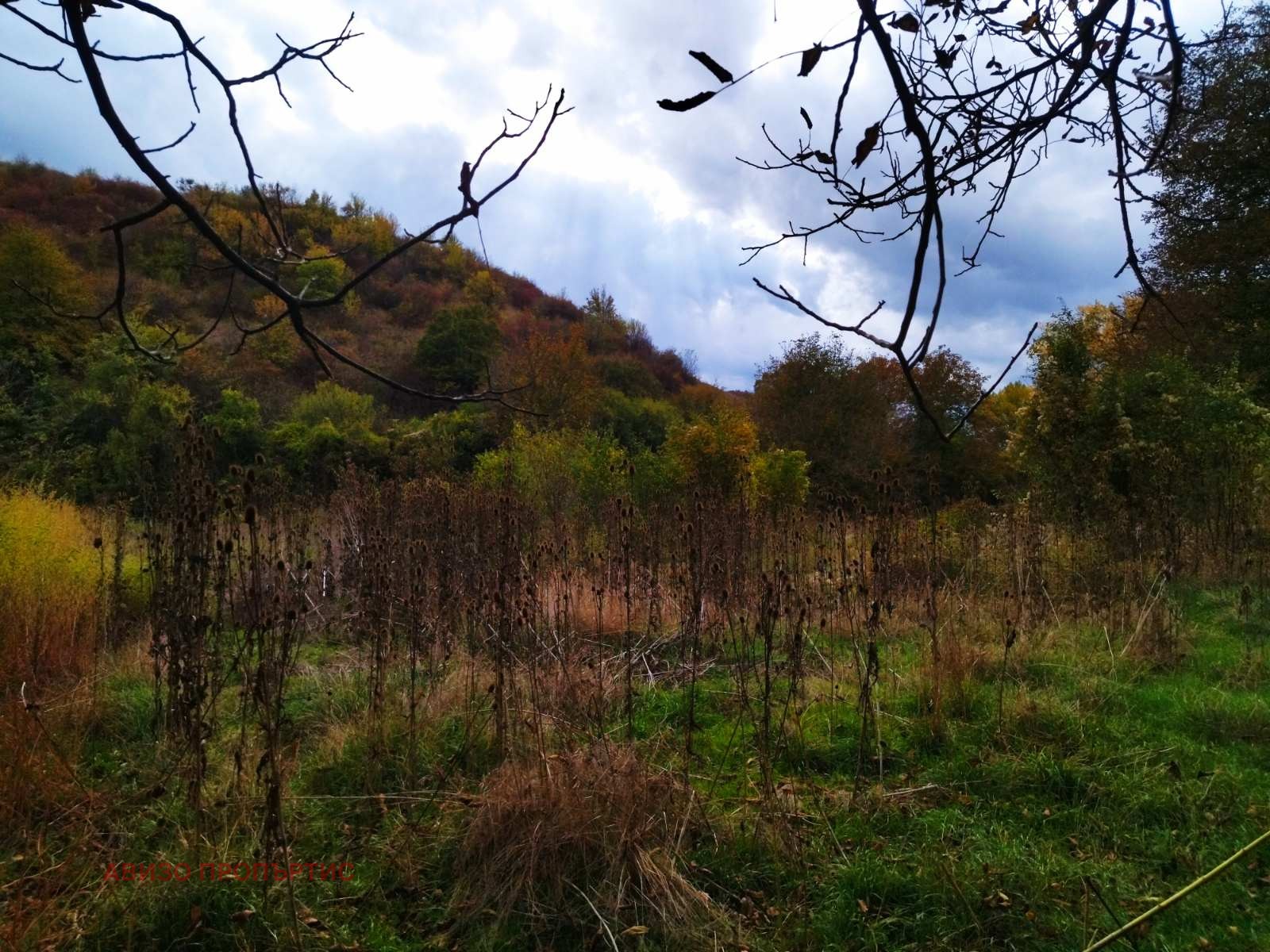 Продава ПАРЦЕЛ | Imot.bg — изображение 4