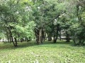Продава 3-СТАЕН, град София, Медицинска академия • 331000 € • 48399784 — Holmes.bg