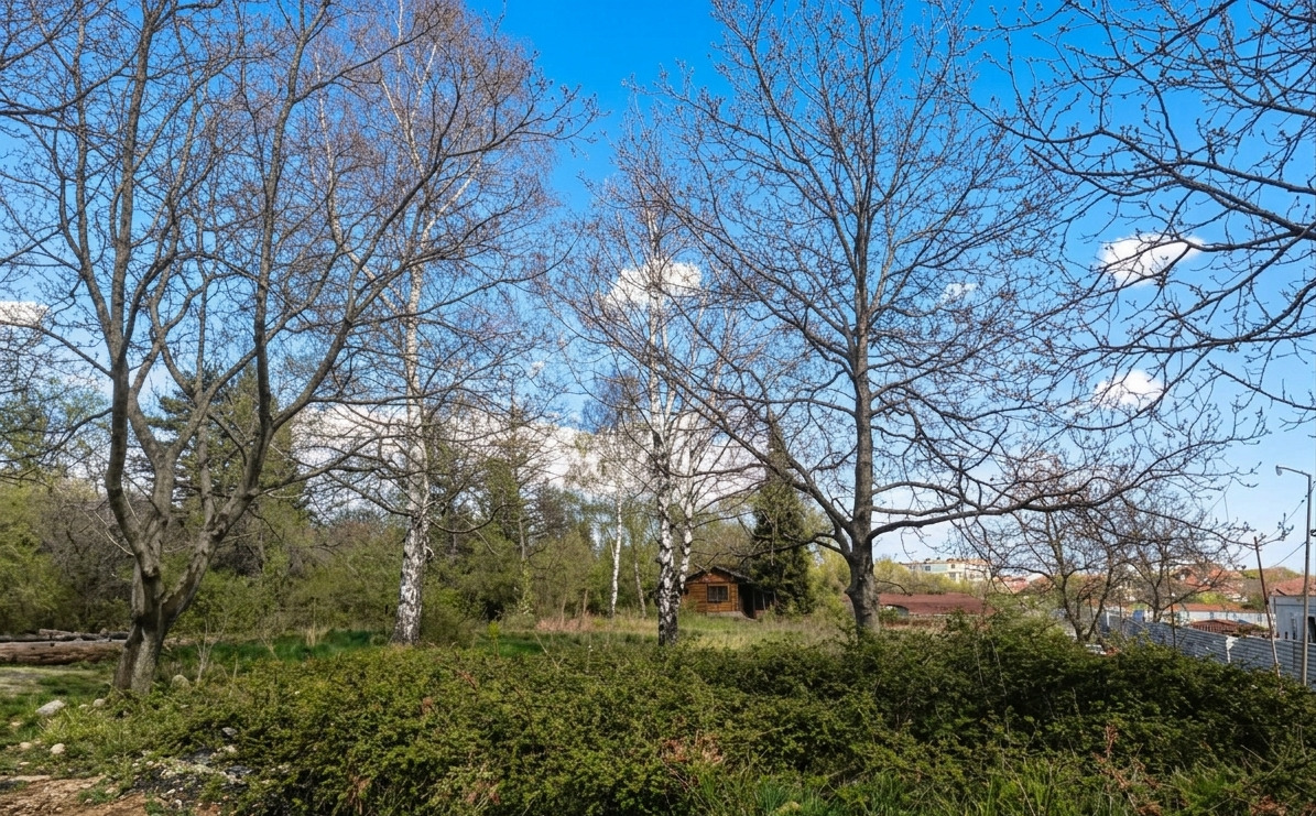 ������� ������ | Imot.bg � ����������� 1