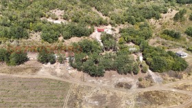 ������� ������ | Imot.bg � ����� ������ 5