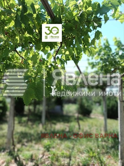 Продава КЪЩА, с. Ветрино, област Варна, снимка 7 - Къщи - 48020546