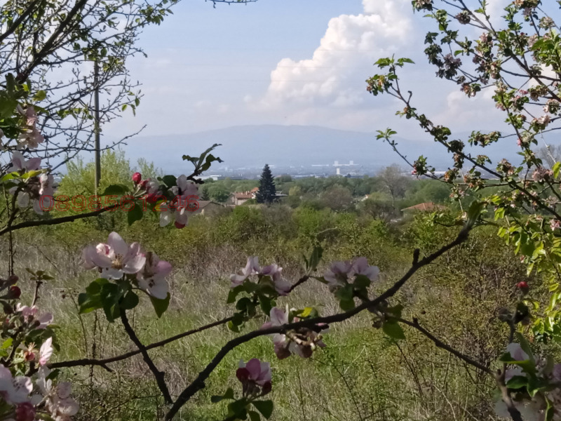 Продава ПАРЦЕЛ, с. Голяновци, област София област, снимка 2 - Парцели - 53371840