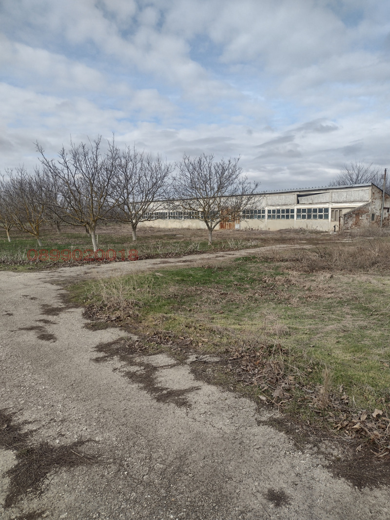 Продава ПАРЦЕЛ, с. Стефаново, област Добрич, снимка 2 - Парцели - 52769856