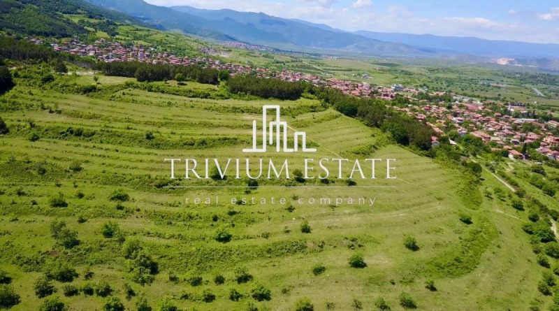 Продава ПАРЦЕЛ, с. Брестовица, област Пловдив, снимка 8 - Парцели - 53094021