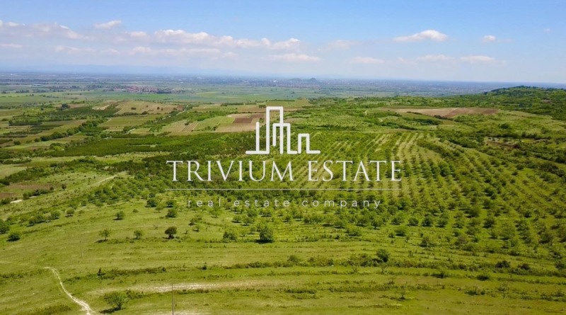 Продава ПАРЦЕЛ, с. Брестовица, област Пловдив, снимка 4 - Парцели - 53094021