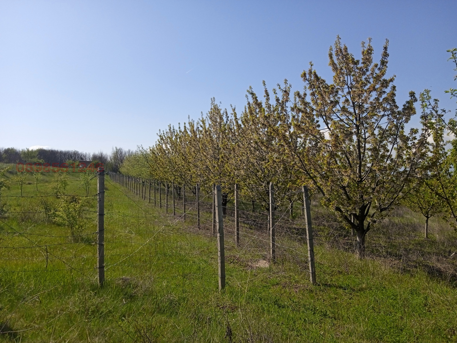 Продава ПАРЦЕЛ, с. Голяновци, област София област, снимка 2 - Парцели - 53982201