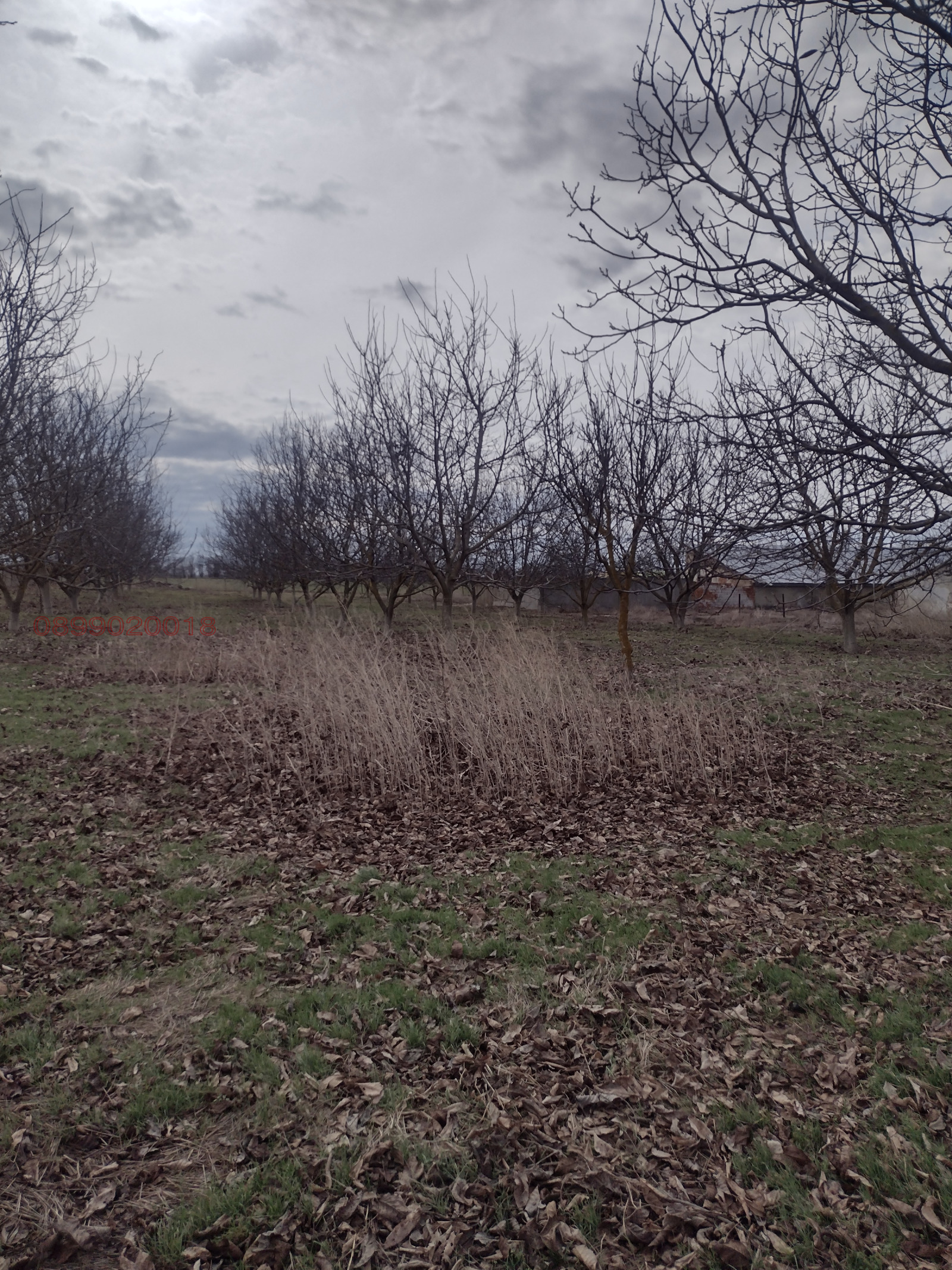 Продава ПАРЦЕЛ, с. Стефаново, област Добрич, снимка 6 - Парцели - 52769856