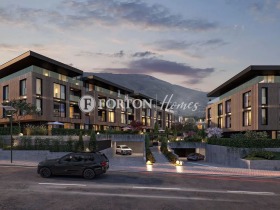 ������ ������� 4-�����