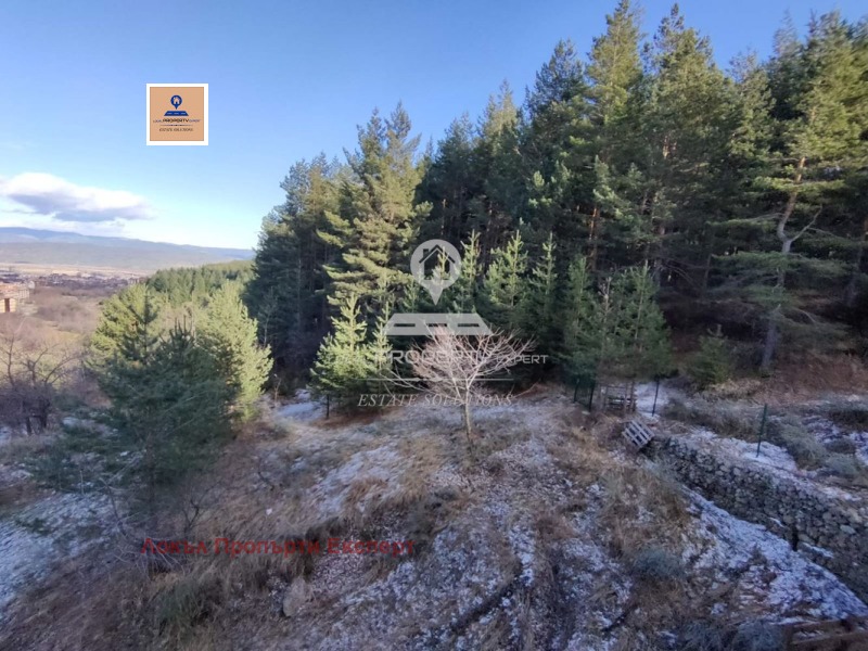 À venda  Estúdio região Blagoevgrad , Bansko , 43 m² | 15785341 - imagem [9]