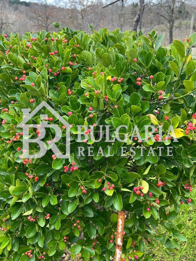 Продава ВИЛА, гр. Варна, м-т Прибой, снимка 16 - Вили - 53172326