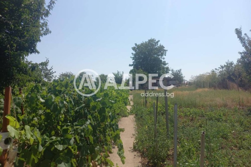 Продава КЪЩА, с. Кремена, област Добрич, снимка 8 - Къщи - 52449856