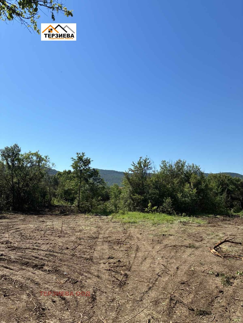 Na prodej  Spiknutí oblast Stará Zagora , Saedinenie , 970 m2 | 46274332 - obraz [2]