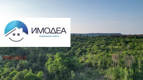 ������ ������� ������