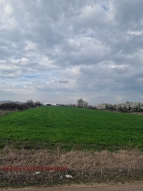 ����� ������� ���������� ����,��. �������, ������ �������