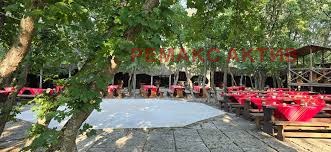 Till salu  Bar region Dobrich , Kavarna , 2719 kvm | 66145234 - bild [4]