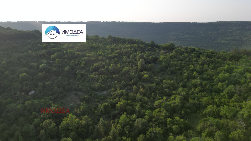 Продава ПАРЦЕЛ, с. Арбанаси, област Велико Търново, снимка 3 - Парцели - 53265321