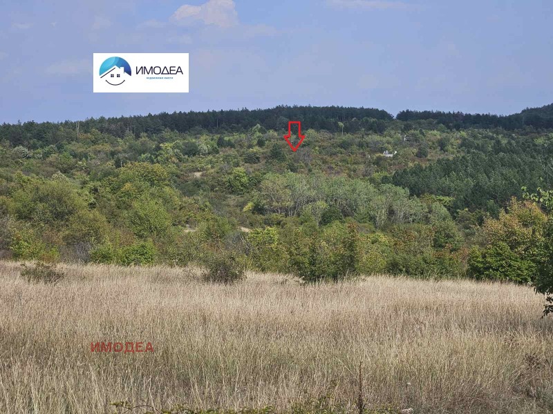 Продава ПАРЦЕЛ, с. Арбанаси, област Велико Търново, снимка 16 - Парцели - 53265321