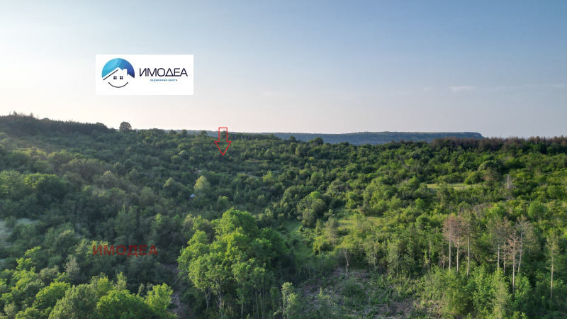 Продава ПАРЦЕЛ, с. Арбанаси, област Велико Търново