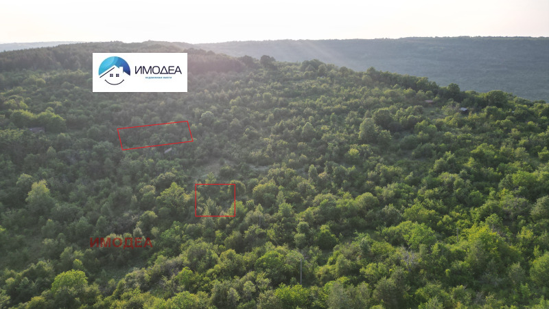 Продава ПАРЦЕЛ, с. Арбанаси, област Велико Търново, снимка 4 - Парцели - 53265321