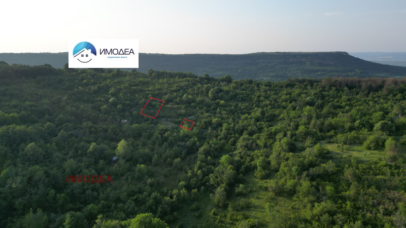 Продава ПАРЦЕЛ, с. Арбанаси, област Велико Търново, снимка 2 - Парцели - 53265321