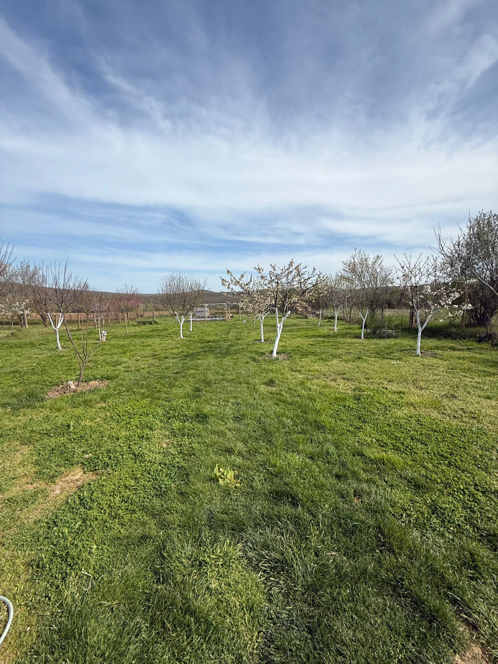 Продава КЪЩА, с. Кривини, област Варна, снимка 11 - Къщи - 54243330