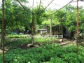 Продава КЪЩА, гр. Бургас, с. Извор, снимка 2