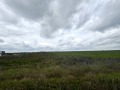 Продава ПАРЦЕЛ, град Русе, Промишлена зона - Изток • 1204900 € • 42846888 — Holmes.bg
