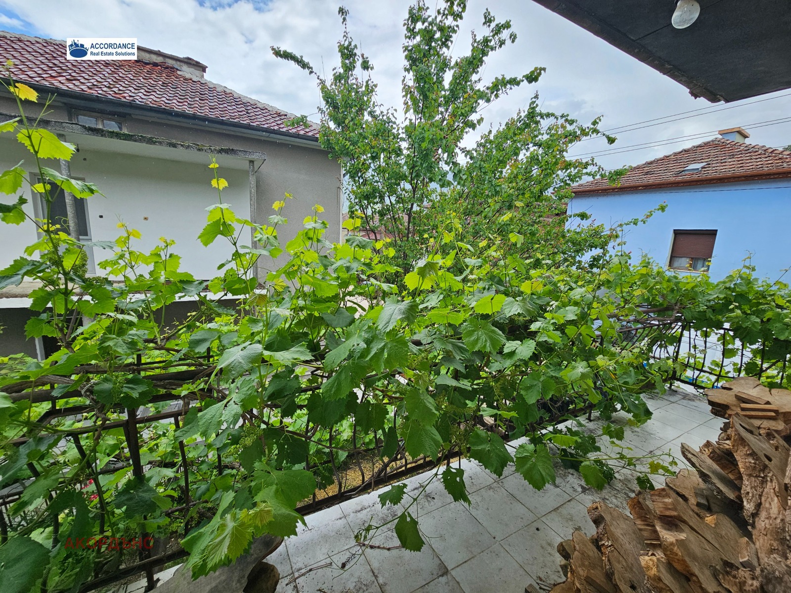 ������� ���� | Imot.bg � ����������� 16