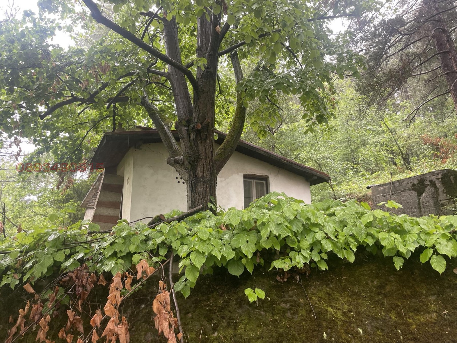 ������� ���� | Imot.bg � ����������� 1