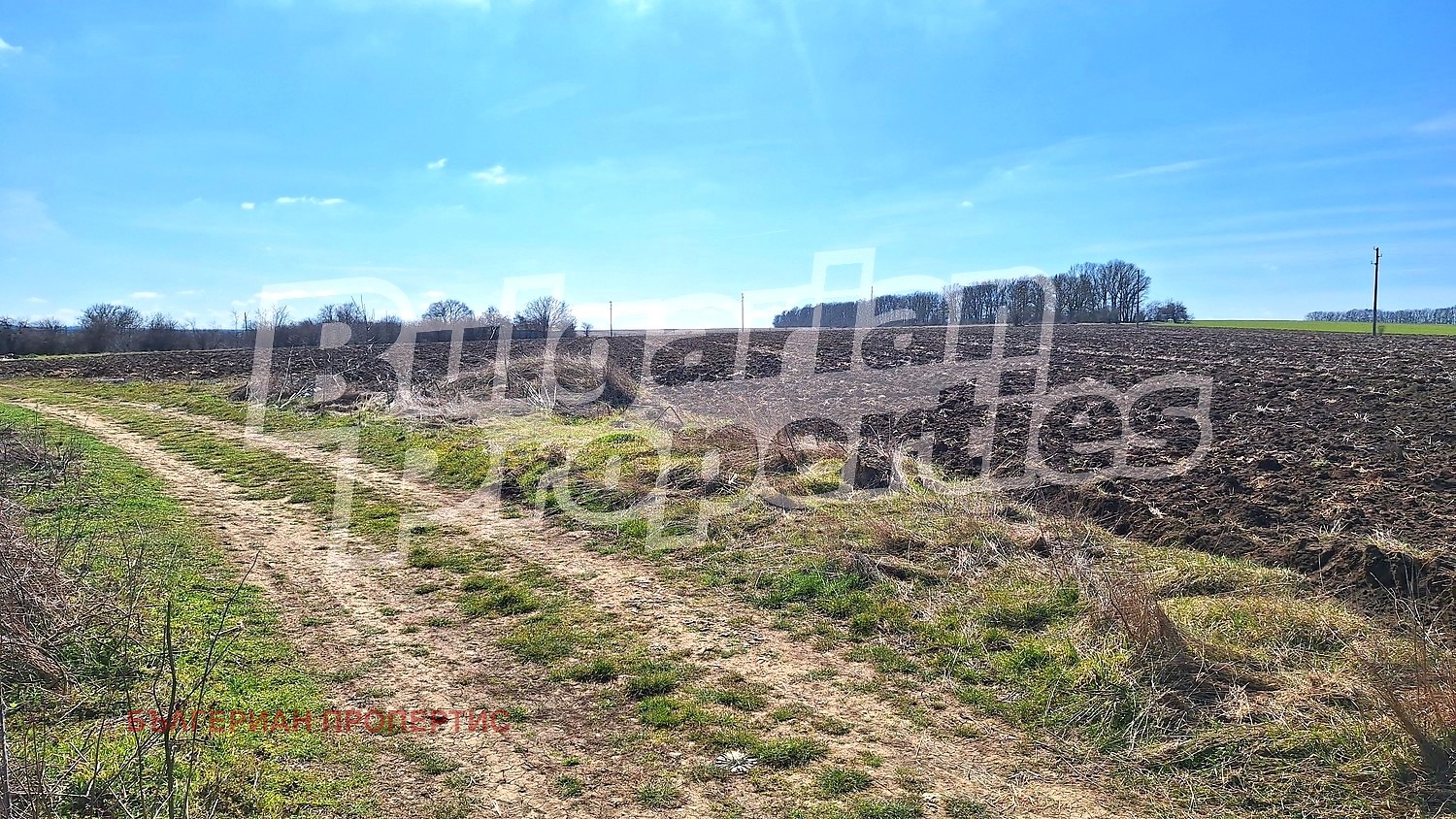 ������� ������ | Imot.bg � ����������� 8