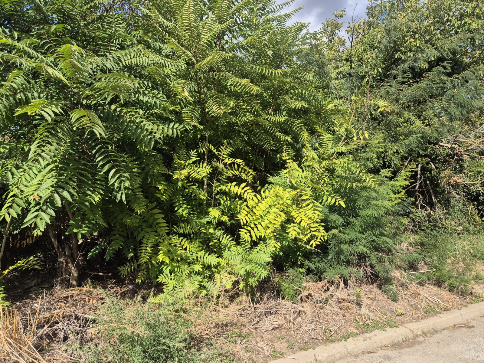 ������� ������ | Imot.bg � ����������� 3