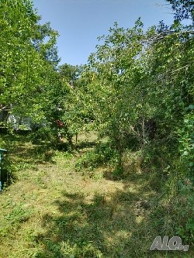 Продажба на имоти в с. Косача, област Перник - изображение 9 