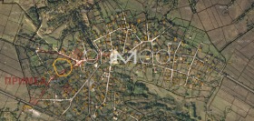 ����� ������� ������,�. ����, ������ ������