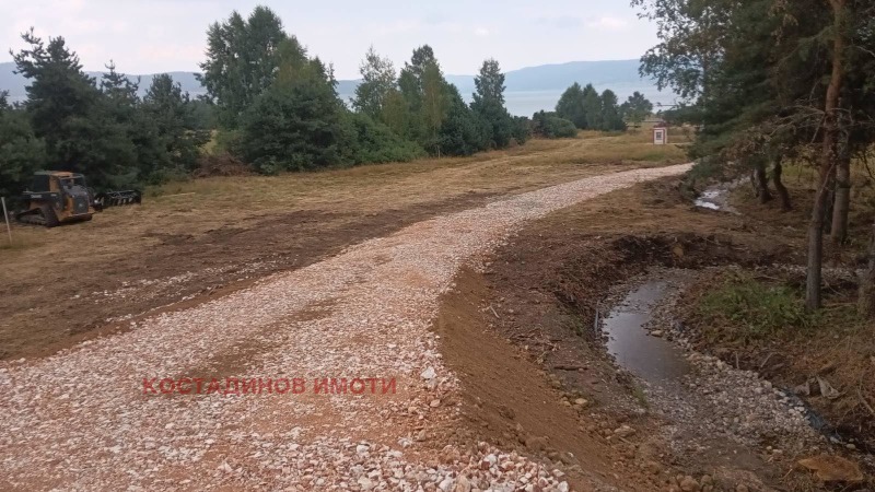 Продава ПАРЦЕЛ, яз. Батак, област Пазарджик, снимка 6 - Парцели - 39336089